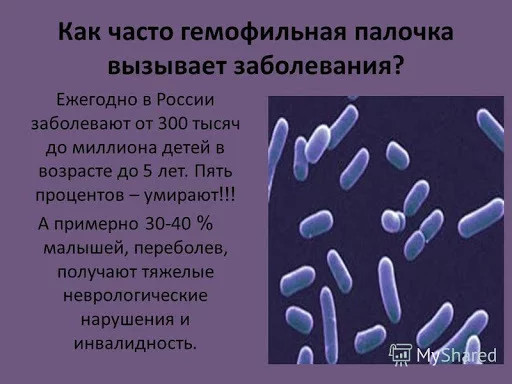 Гемофильная инфекция - Вакцина, Вакцинация, Гемофильная палочка, Здоровье, Дети, Длиннопост