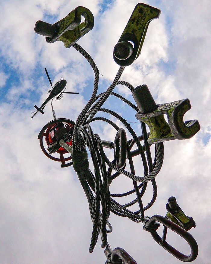 Длинная вертолетья лапа