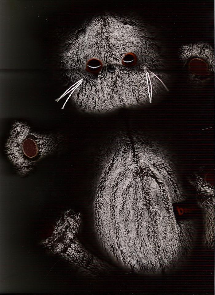 Basik - My, Cat basik, Basik, Kripota, Toys, Scanner, Longpost