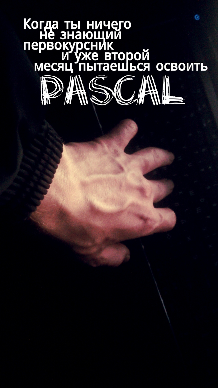 Мамин программист