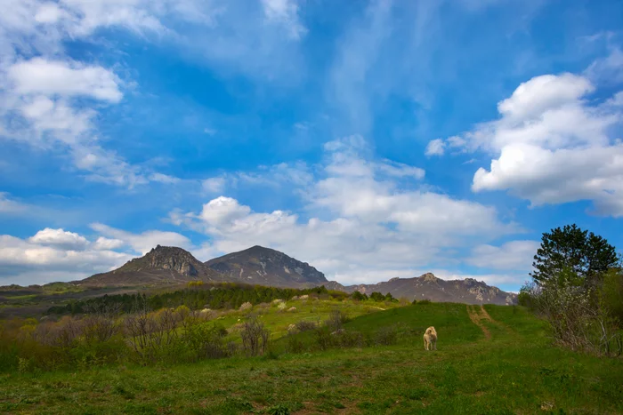 Spring - My, Spring, Beshtaugorsky Reserve, Clouds, Longpost, Nature