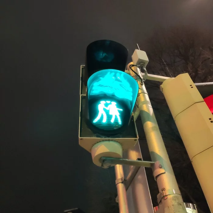 An ordinary traffic light in Vienna - My, Travels, Vein, Traffic lights, Milota