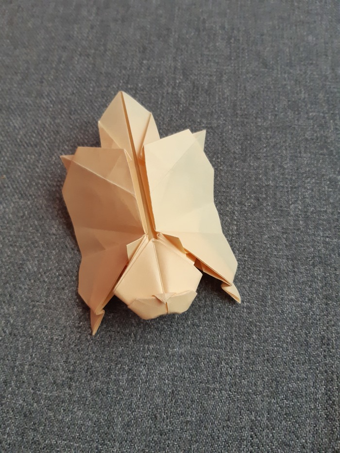 Origami Flying squirrel (Gen Hagiwara) , -, , 