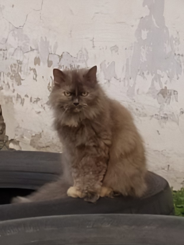 Вы все г..но!!!