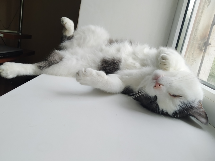 ���������� ������������