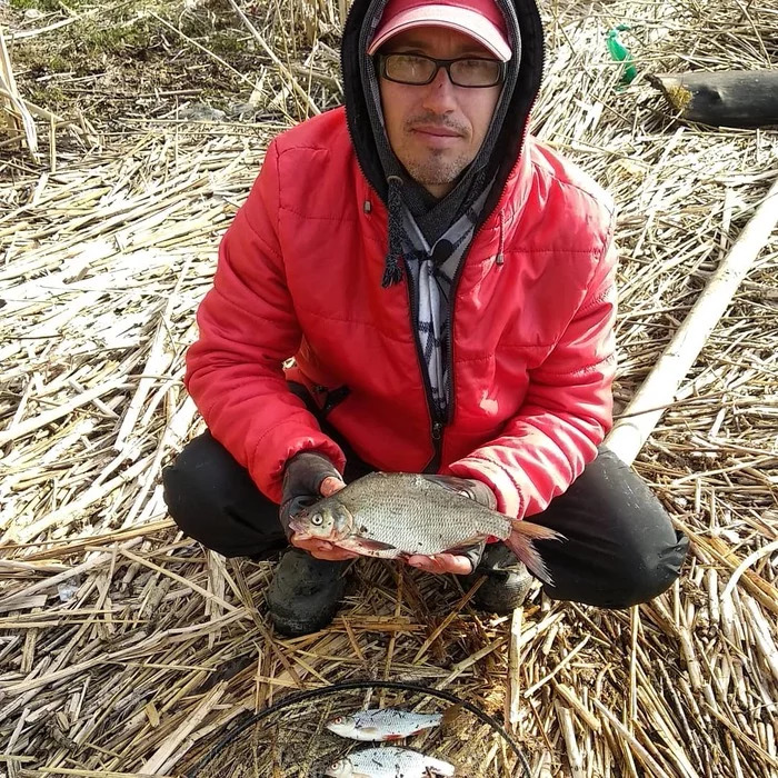 Starts to bite - My, Bream, Feeder, Fishing for bream, Fishing, Longpost