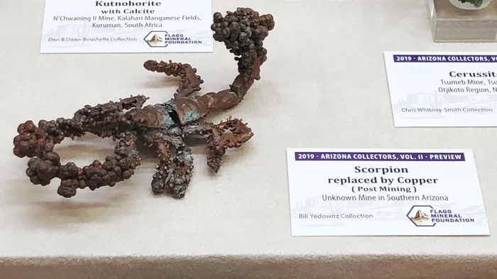 Скорпион, который превратился в медный самородок Скорпион, Медь, Ископаемые, Палеонтология