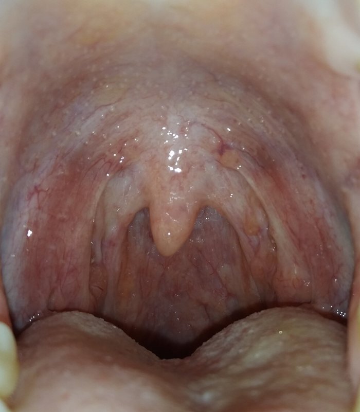 ����� ������ ���� ���� �������� ���� �� �������� ����������