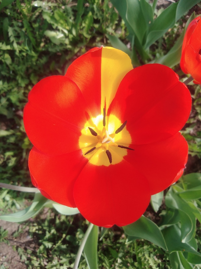 ���� ������