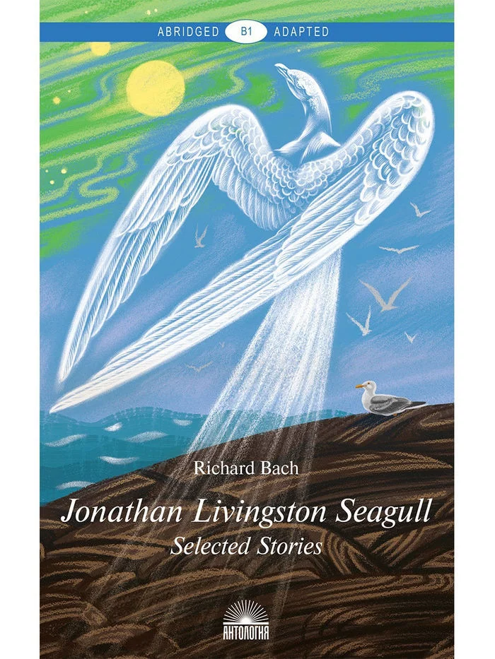 How are the book - Jonathan Livingston Seagull, yoga and veganism connected? - My, Yoga, Buddhism, Meditation, Enlightenment, Mindfulness, Karma, Depression, Смысл жизни, Longpost