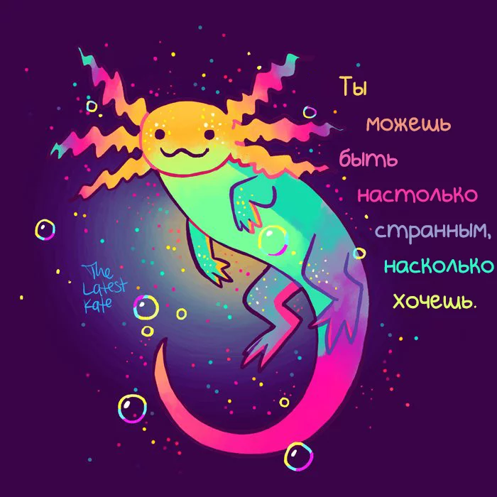 1588156242158069007.webp
