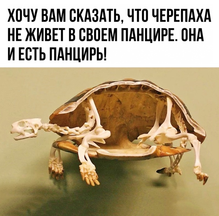 ��������������� ��� ���������� �������������