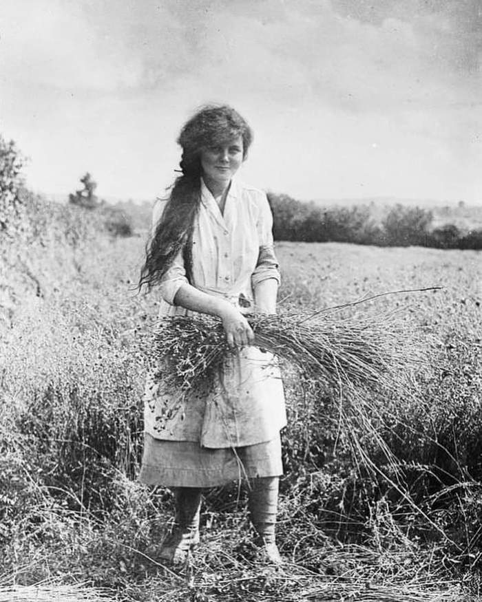 Linen - Women, Retro, Field, Flax
