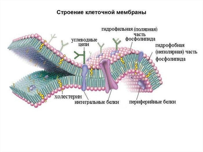 .   (, ) 2 .   ? , , , , , , 