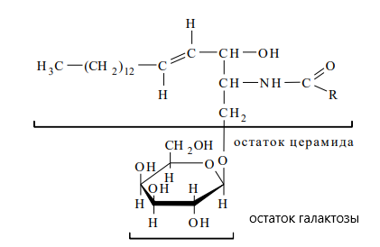 Chemistry. Complex lipids (Phospholipids, glycolipids) part 2. What are hepatoprotectors? - My, Chemistry, Longpost, Nauchpop, The science, Interesting, Lipids, Hepatoprotectors