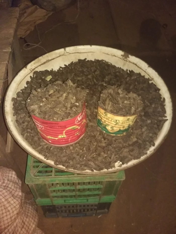 Страна молодых и «честных людей» (Буркина-Фасо) Африка, Путешествия, Буркина-Фасо, Длиннопост Страна молодых и «честных людей» (Буркина-Фасо) Африка, Путешествия, Буркина-Фасо, Длиннопост