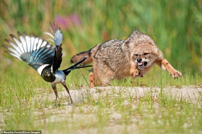 ������ ������� �� ������