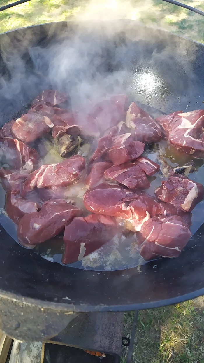 A few photos from yesterday's outing - My, Food, Kazan, Pilaf, Longpost