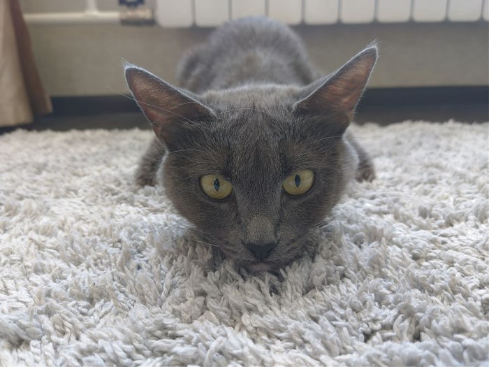 ���-����