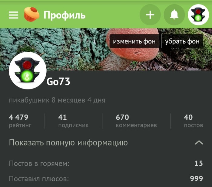 �������� ����