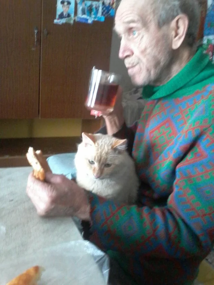 Grandfather and Cat - My, Grandfather, cat, Friends, Quarantine