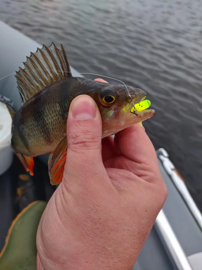 Opening of the boat season - My, Fishing, Nature, beauty of nature, Longpost