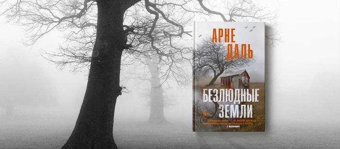 A selection of detective stories worth reading - Books, Literature, E-books, Better at home, A selection, Detective, Расследование, What to read?, Longpost