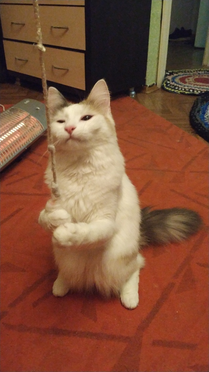 Сфоткай, типа меч держу