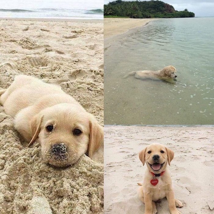 "C������ � �e�� ��� ��p��� �e�� �a ����e"