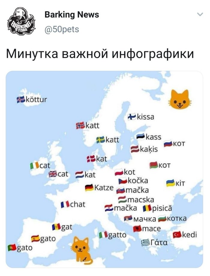 ������� ����������� ����������