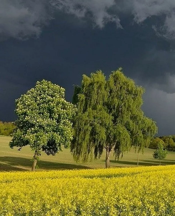 Before the storm - Thunderstorm, The nature of Russia