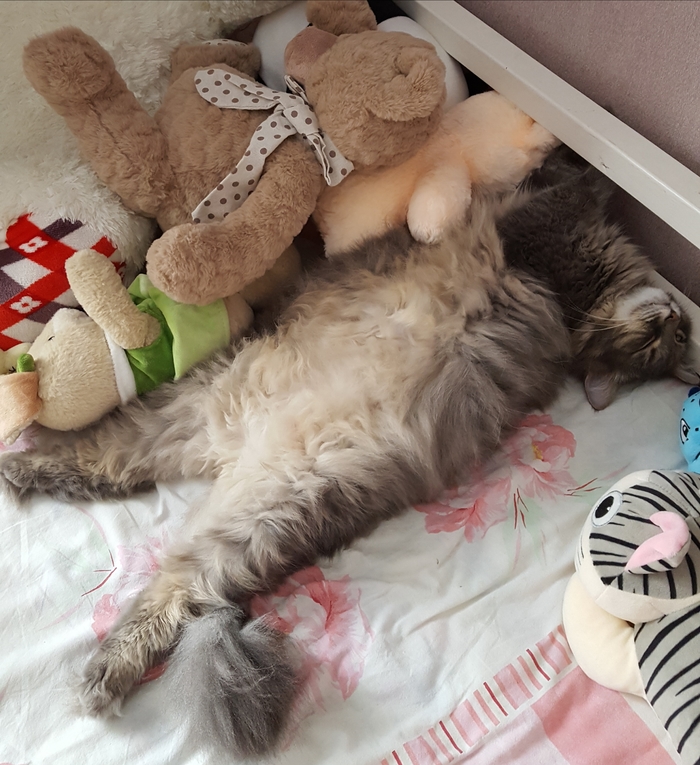 Ми-ми-микрия