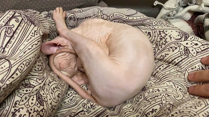 ,  ! , , ,  , , , 