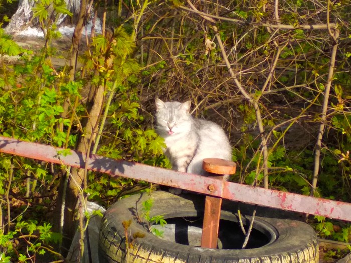 ��������� ����� � ������