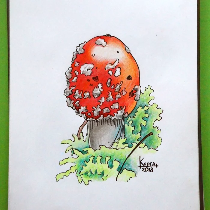 Another mushroom, this time with colored pencils and a capillary pen - My, Mushrooms, Drawing, Graphics, Art, Painting, Artist, Colour pencils, Nature, Longpost