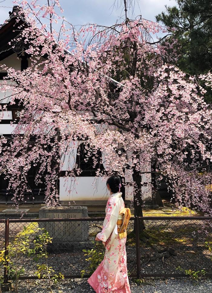 Красота в каждом моменте