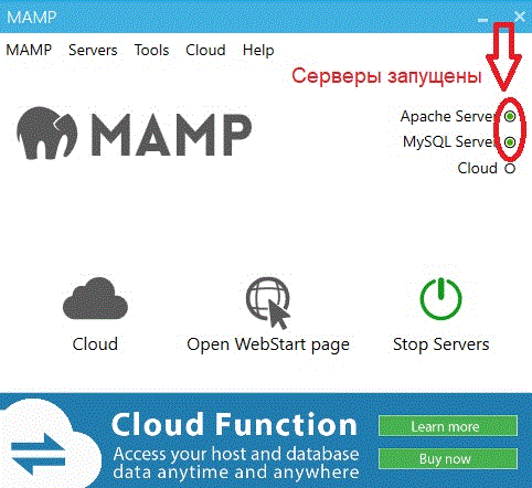 Own hosting on a home computer or installing MAMP - My, Server, Site, Longpost
