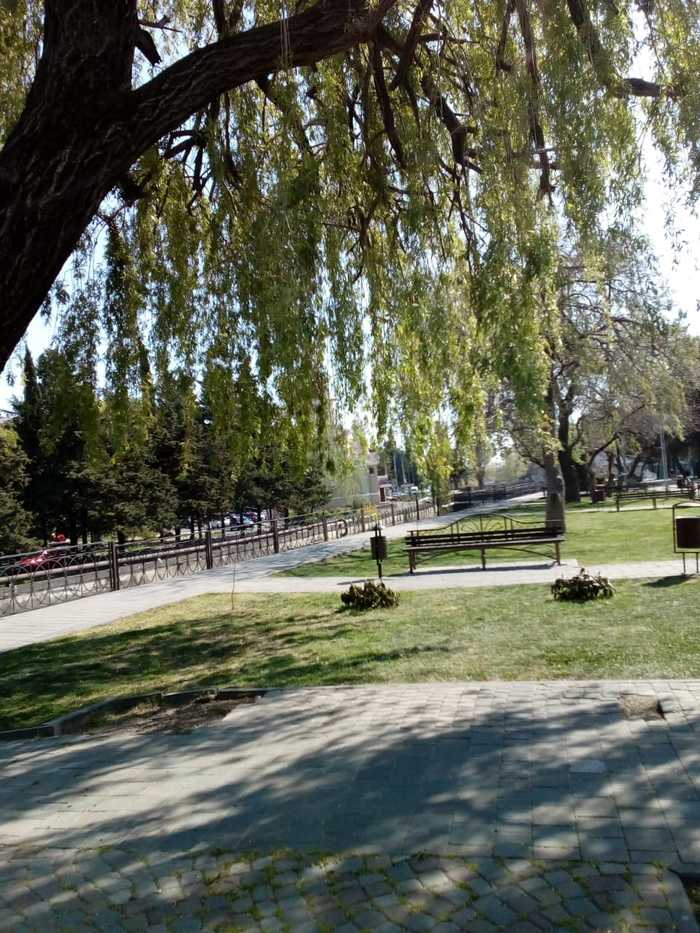 ����������� �����