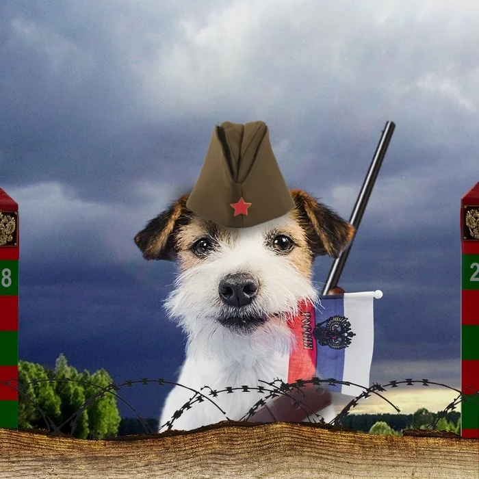 Psalm for the Great Victory Day! - My, Dog, Dzhulbars, Victory, Animals, Story, War, Poems, Longpost