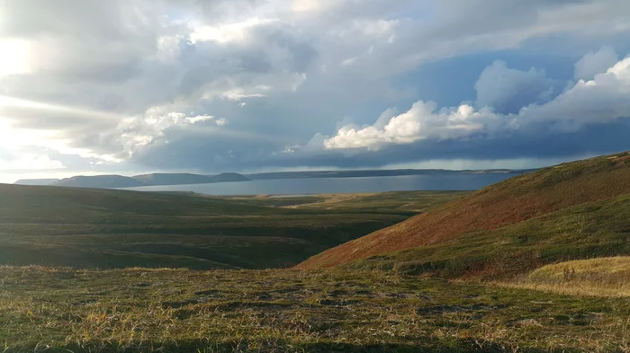 Commander Islands - Beautiful view, Kamchatka, Longpost, Koryaksky Volcano, Avachinsky volcano, Kozelsky Volcano, Travel across Russia, Mushrooms, Nature, The nature of Russia, Commander Islands, My