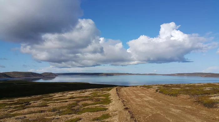 Commander Islands - Beautiful view, Kamchatka, Longpost, Koryaksky Volcano, Avachinsky volcano, Kozelsky Volcano, Travel across Russia, Mushrooms, Nature, The nature of Russia, Commander Islands, My