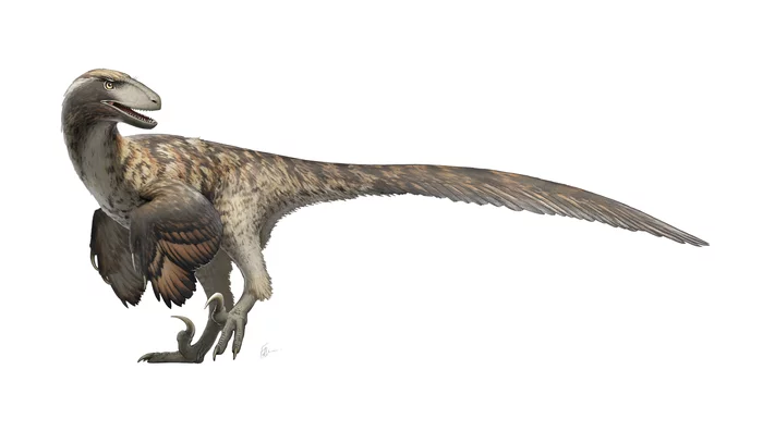 Did the Deinonychus hunt in packs? - My, Paleontology, Dinosaurs, The science, Dromaeosaurs, Longpost