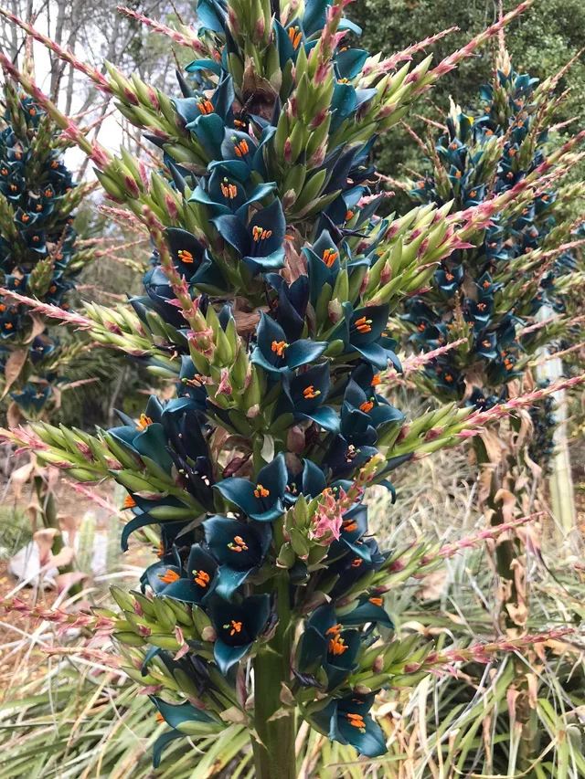 Что это за штука - 93 Перевел сам, Reddit, WhatIsThisThing, Видео, Длиннопост