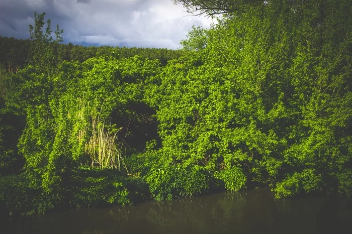 Natural arch by the river (view from outside and inside) - My, The photo, Nature, River, Arch, Voronezh