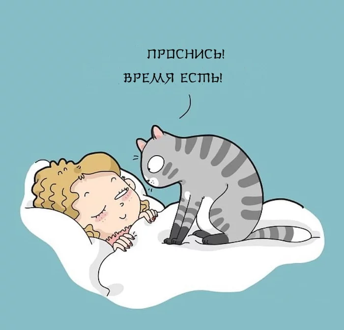 Every morning - Picture with text, cat, Drawing, Demotivator, Lingvistov