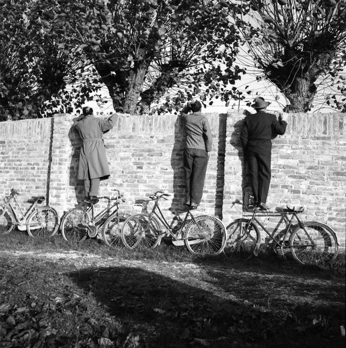 Men on bicycles - Retro, A bike, Fence, Men, Italy, Wall