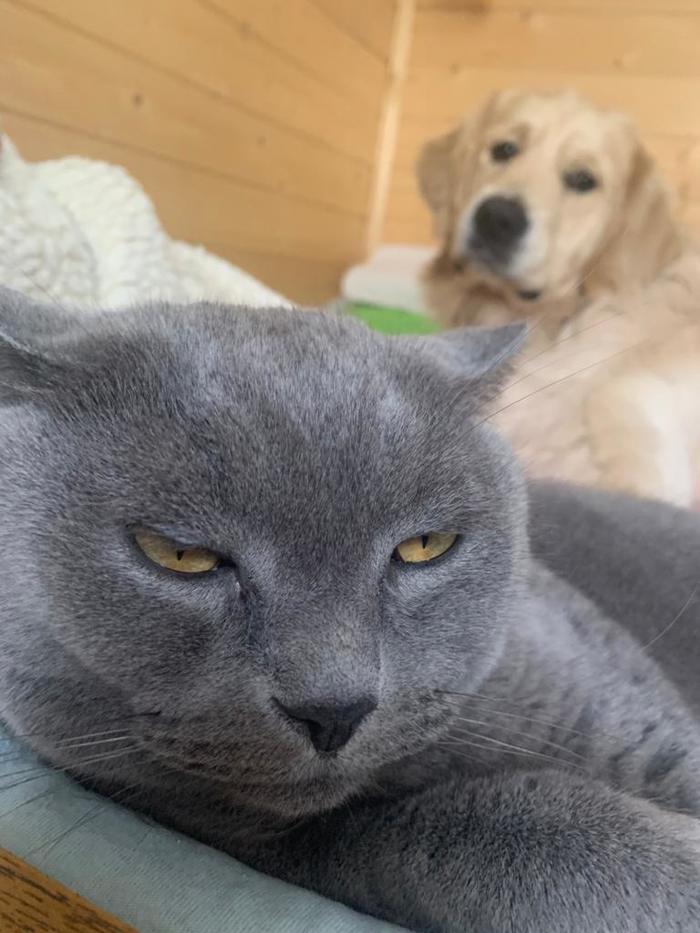 ��� �� �� ���� �������