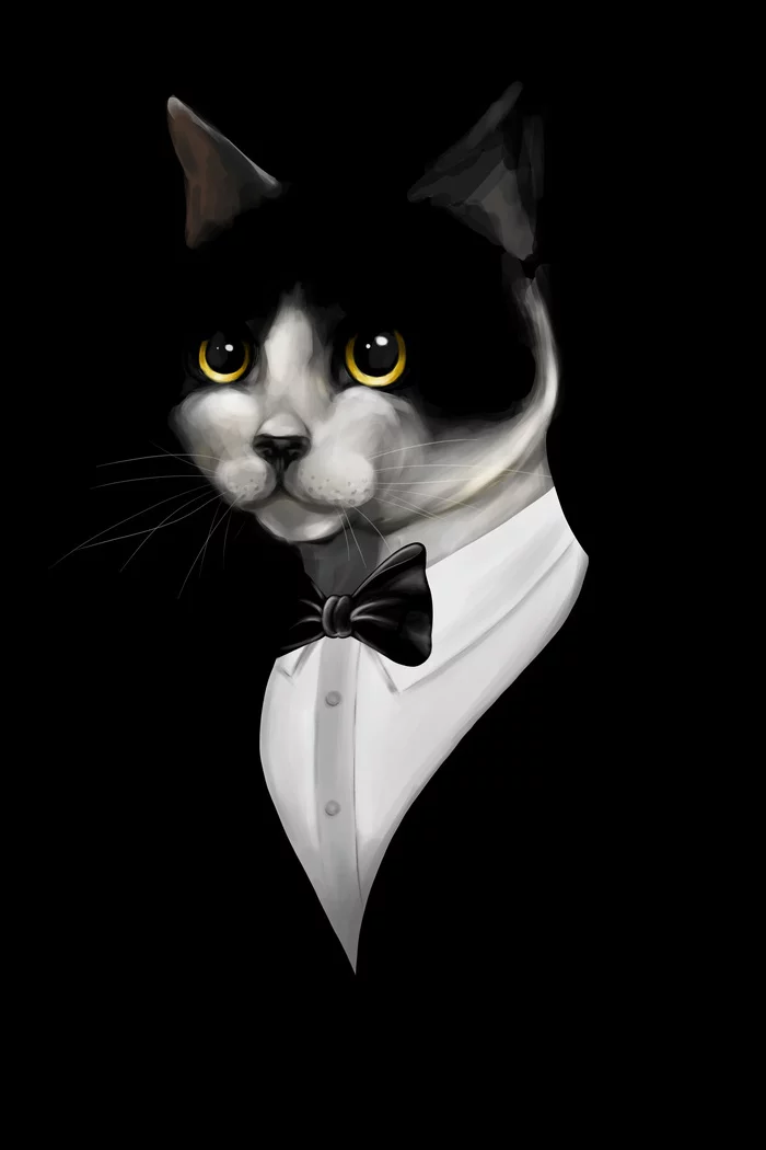 Mister cat - My, Digital drawing, Graphics, Digital, Art, cat, Sketch, Longpost
