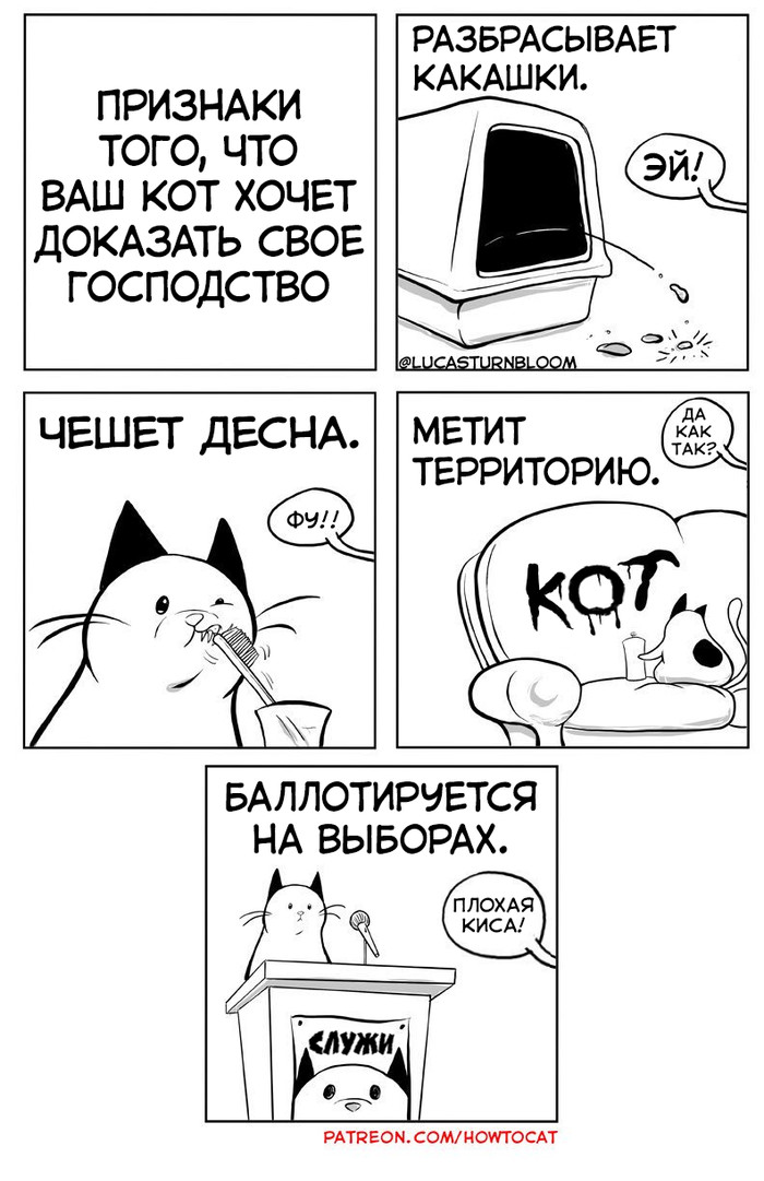 "����������"