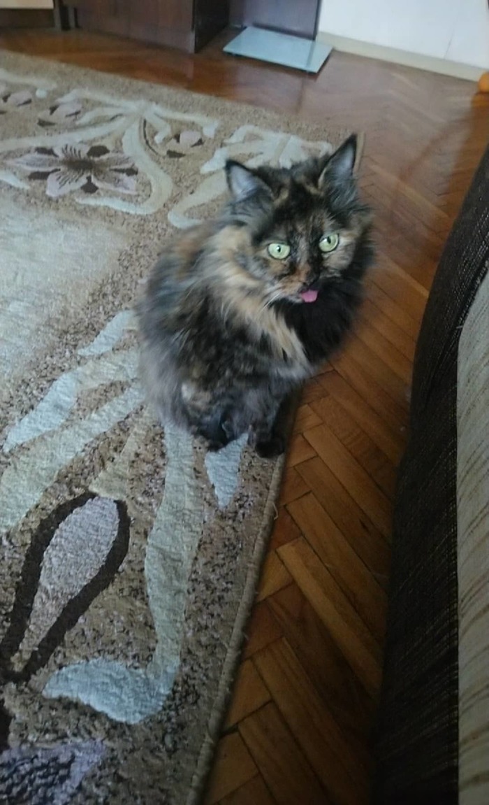 ��������������